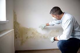 Reliable Bethel Acres, OK Mold Inspection Solutions